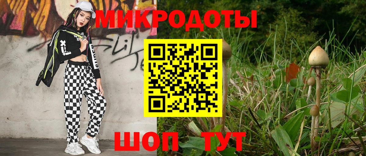 Ефремов  Галлюциногенные грибы Cubensis  Галлюциногенные грибы ЛСД  Вход с VPN 