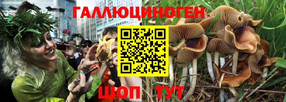 Псилоцибиновые грибы GOLDEN TEACHER Ефремов